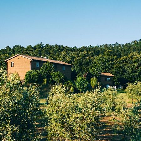 Podere San Francesco Bolsena Exterior foto