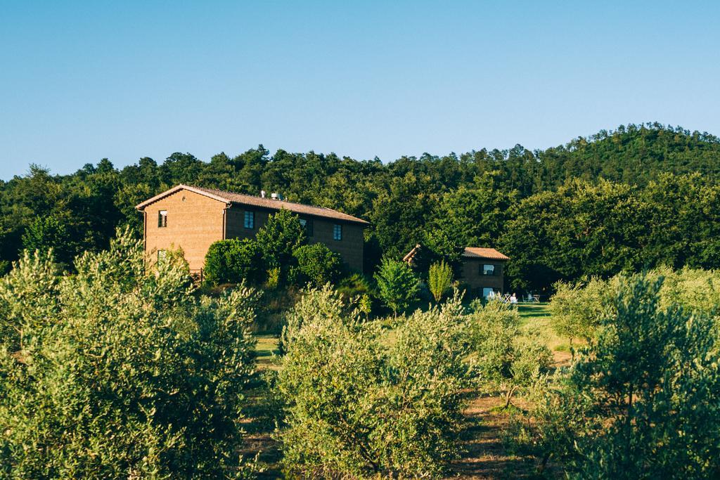 Podere San Francesco Bolsena Exterior foto